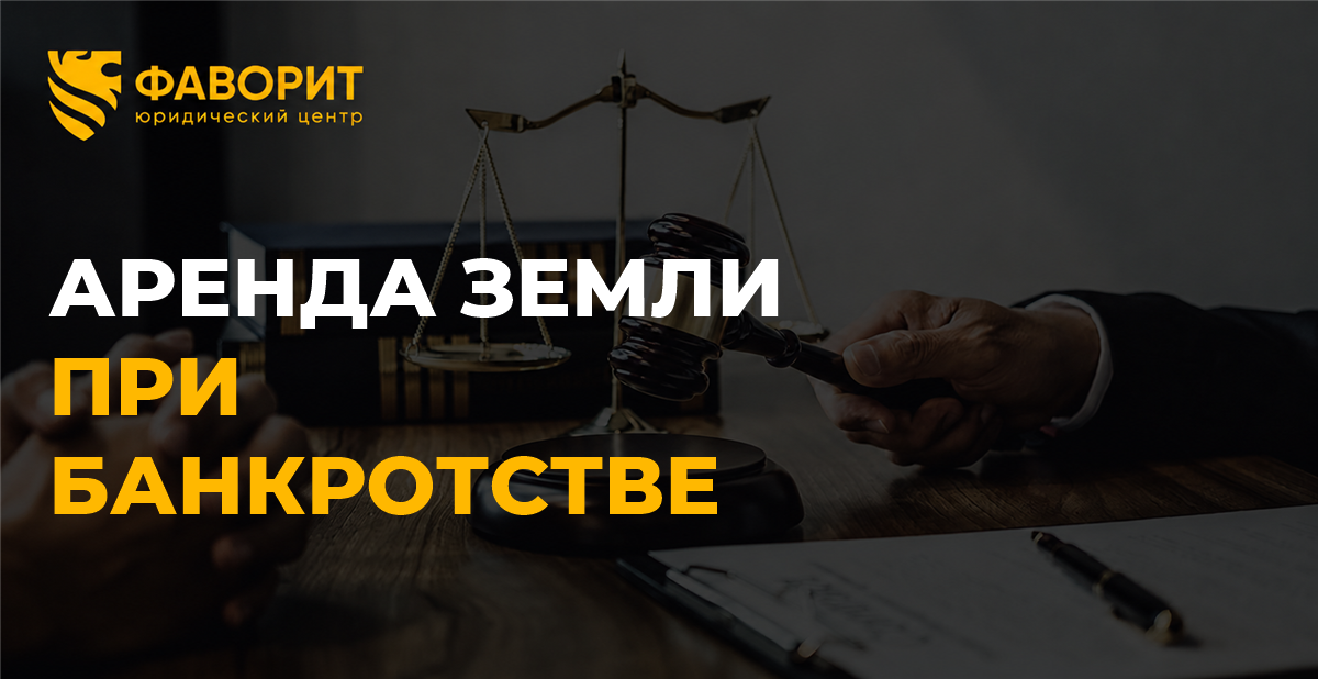 Право аренды земельного участка при банкротстве физлица: заберут ли участок и что будет с домом